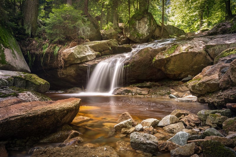 Woodland Waterfall Wonderland